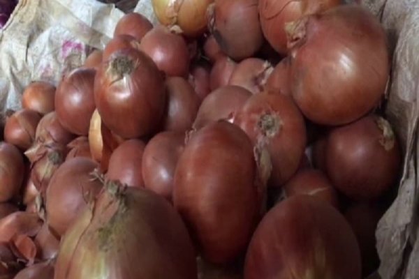 Где брать ссылки на кракен