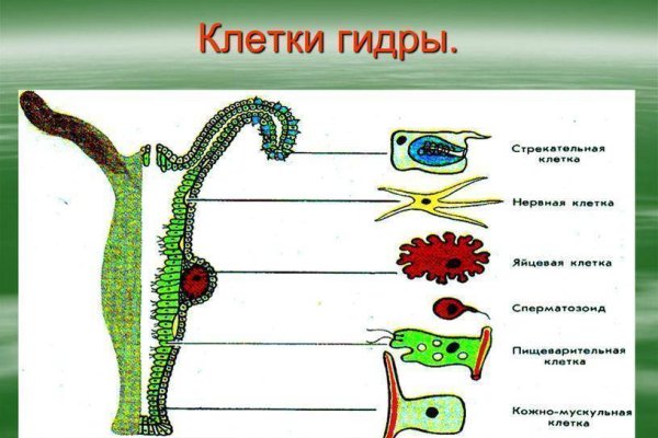 Кракен онион зеркало