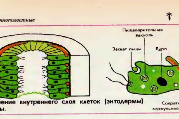 Kraken 2025 ссылка