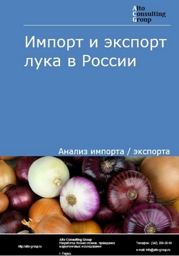 Как зайти в кракен торе