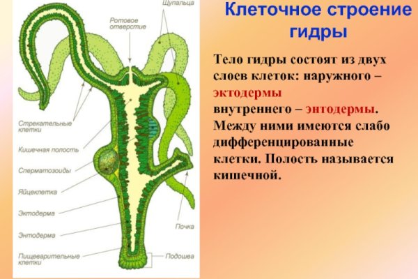 Kraken darknet зеркала кракен обход