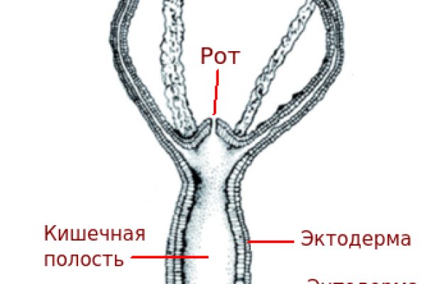 Kraken clear ссылка