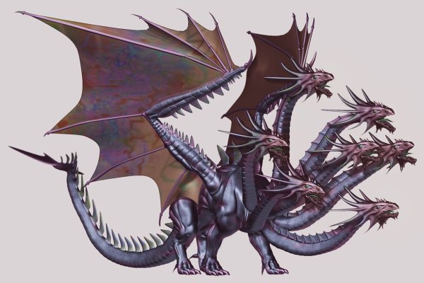 Kraken17 at