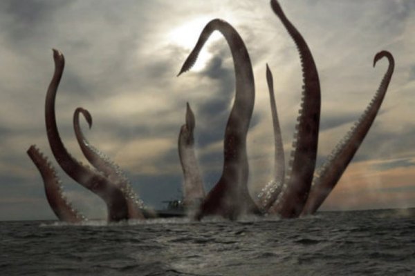 Kraken 22at
