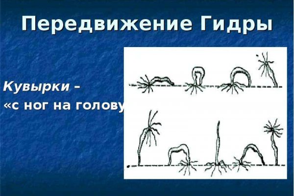 Кракен ссылка 25