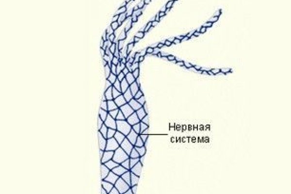 Кракен не заходит