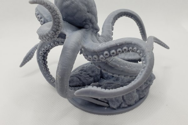 Kraken 25 at