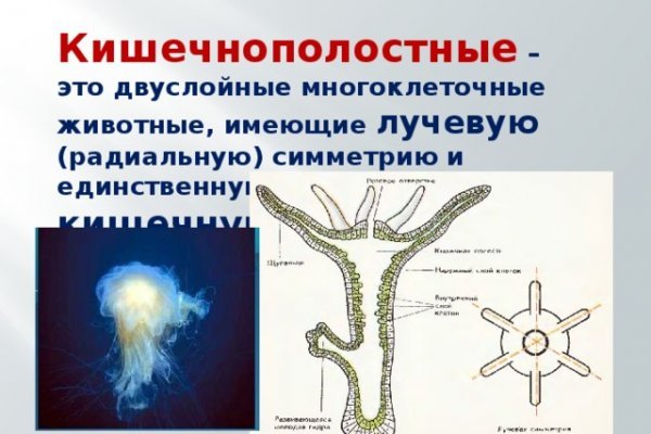 Заказать даркнет