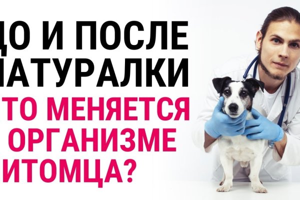 Что вместо гидры