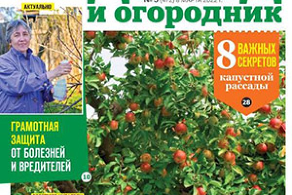 Вход на кракен